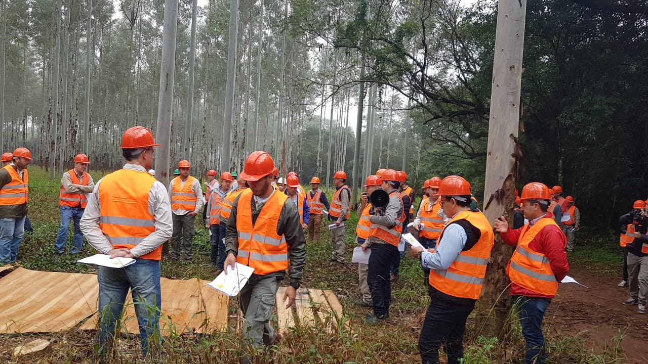 Desarrollo Maderero Paraguay Junio 2022 (1)