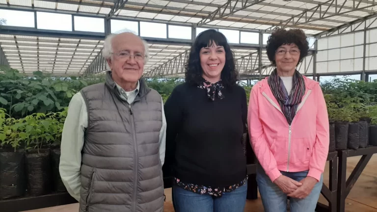 Misiones | Esfuerzo colectivo de la mano de la nueva Red Verde para restaurar las chacras y plantar más árboles de especies nativas  