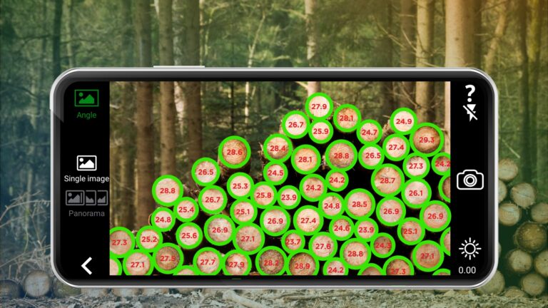 Inteligencia artificial en la gestión de bosques | «El sector forestal necesita una transformación digital para ser más sostenible, transparente y eficiente»»