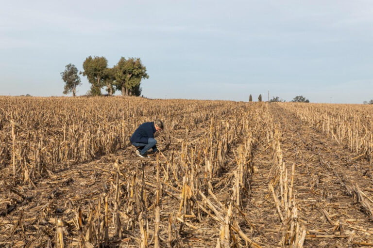 Día Mundial de la Conservación del Suelo | Un recurso clave que requiere manejo y uso correcto de los fertilizantes