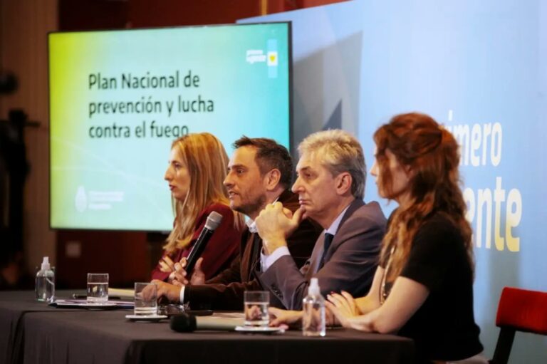 Plan Nacional de Lucha contra el Fuego | El gobierno nacional destinará USD 50 millones ante el inicio de la temporada alta de incendios