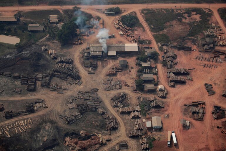 Brasil | Otorgaron un permiso para pavimentar una carretera a través de la selva amazónica y temen por la deforestación masiva que causará el movimiento