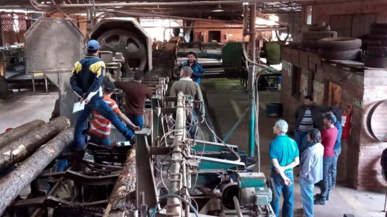 Misiones | Lanzan convocatoria de inscripciones de cursos de capacitación en Afilado, Aserrado y Secado de madera