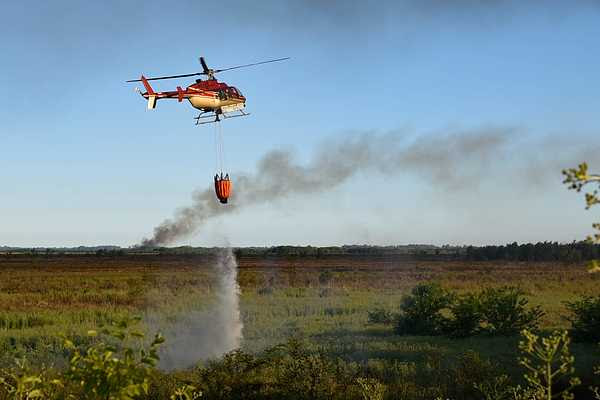 Incendios en el Delta del Paraná | Ambiente advirtió que la provincia de Entre Ríos sobrevoló la zona 3 días después de haber sido informada