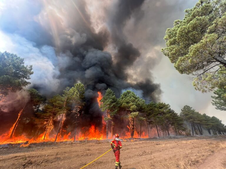 Ola de calor e incendios fuera de control en Europa | La desolación de brigadistas forestales ante la virulencia de las llamas que se extienden en España, Portugal y Francia