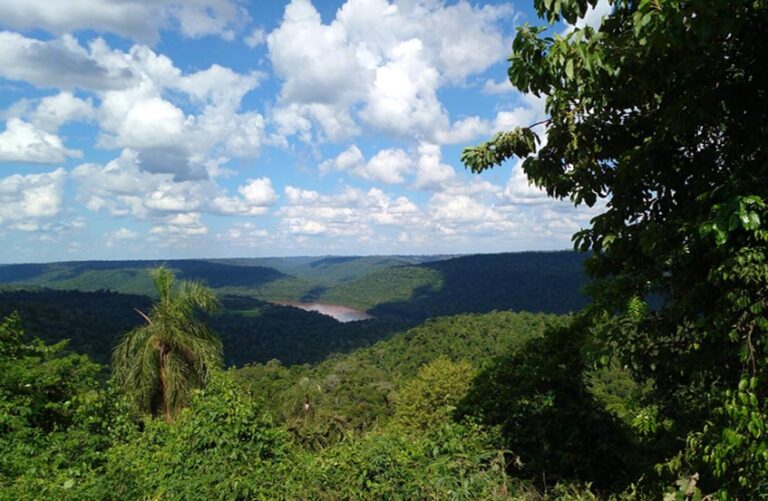 Misiones presentó su Plan Estratégico de Bosques Nativos 2022-2032 y conformó el Consejo Consultivo local del Fondo Verde del Clima