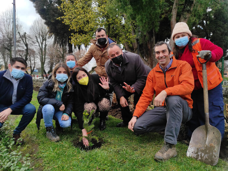Chile | El principal gremio forestal del país busca mejorar la calidad de vida de los vecinos plantando mil árboles en sectores urbanos