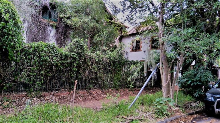La historia de Ricardo Barbetti | Adeuda una fortuna en impuestos y esta en riesgo su casa que convirtió en un jardín botánico donde vive a solo 15 km del Obelisco y conserva más de 250 especies de árboles