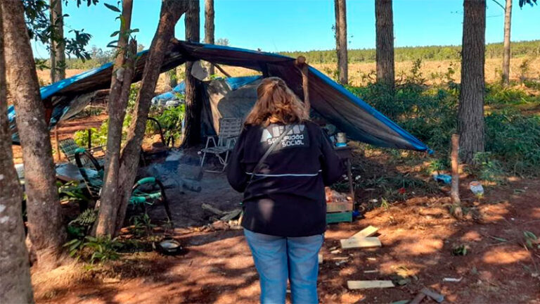 Misiones | AFIP denunció explotación laboral en dos establecimientos de producción forestal en Colonia Wanda