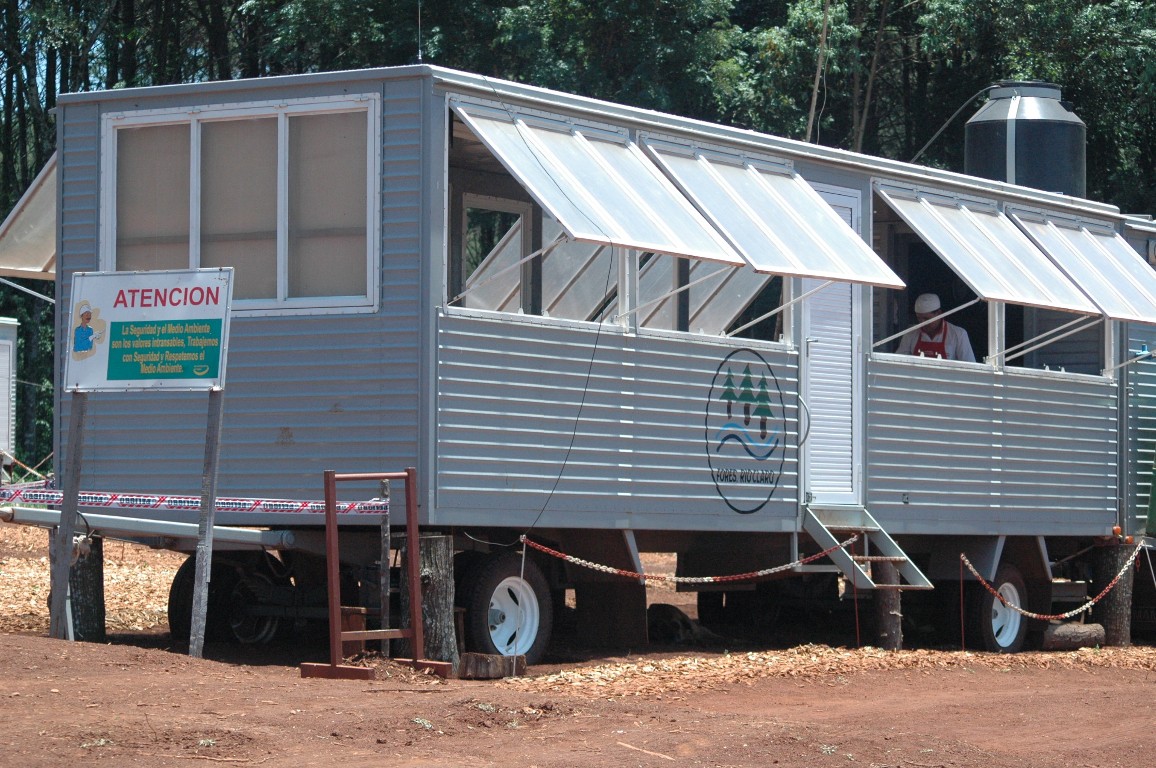 Campamento forestal
