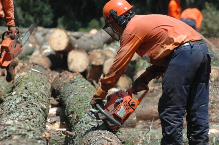 UATRE Misiones: «Hay que profundizar las fiscalizaciones en el trabajo rural»
