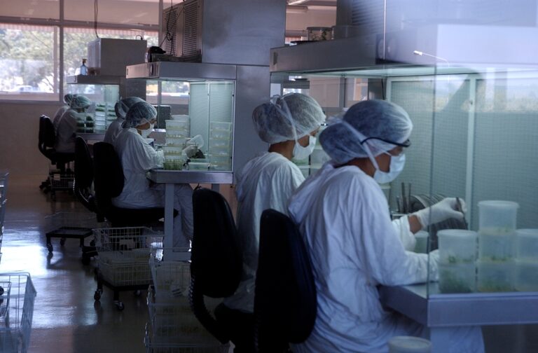 Centros Científicos Tecnológicos del país exponen su preocupación frente a la destrucción de parte de las capacidades operativas del CONICET