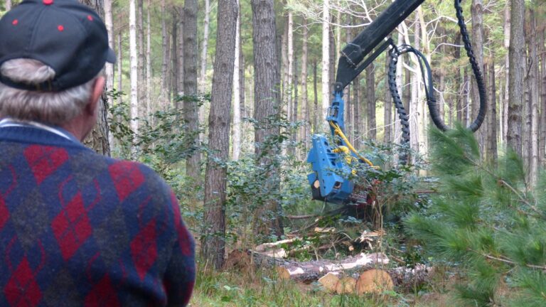 Profesionales de la Ingeniería Forestal ante los nuevos paradigmas de la gestión sostenible para un futuro verde, saludable y resiliente