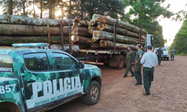Ecología informó respecto a la gestión de guías digitales que otorgan para el control y aprovechamiento de bosques nativos en Misiones