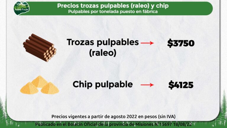 Misiones | Rige la actualización de precios mínimos para trozas pulpables, chip, rollizos aserrables y laminables