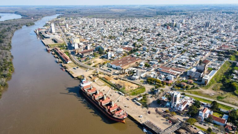 Entre Ríos | Los embarques de rollizos de madera de pino a granel mantienen con intensa actividad a los puertos de Concepción del Uruguay e Ibicuy