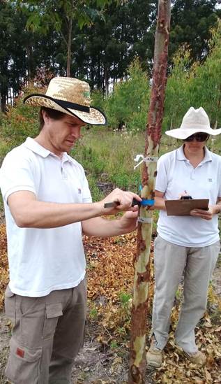 Santiago del Estero celebró con la comunidad el día del ingeniero forestal