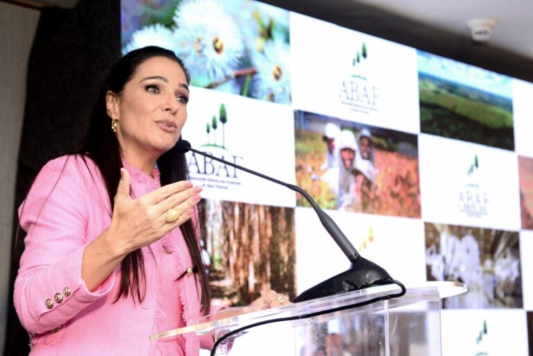 Brasil | El Plan Forestal de Bahía 2023-2033 contempla condiciones para atraer nuevas inversiones agroindustriales