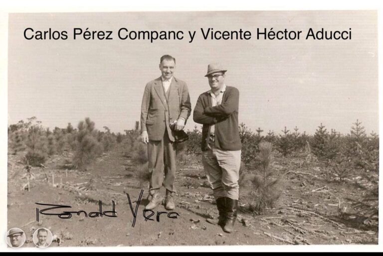Madera con historia | La huella de Carlos Pérez Companc en la reforestación, industria y conservación del Bosque Atlántico en Misiones