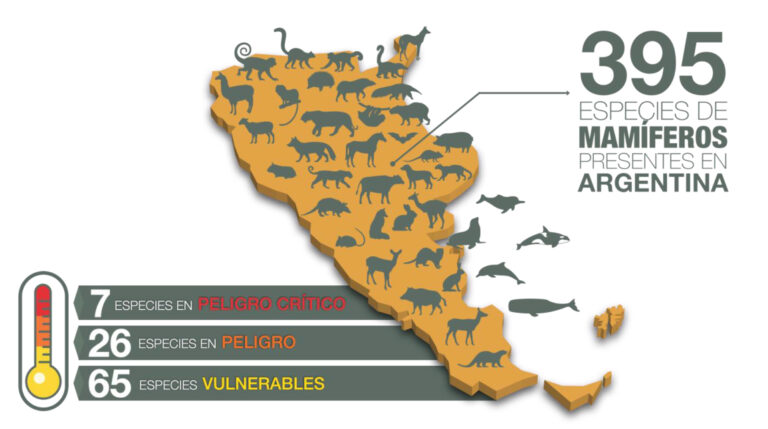 Iguazú será sede de las Jornadas Argentinas de Mastozoología que concentrará a los más prestigiosos expertos sobre el estudio y conservación de los mamíferos
