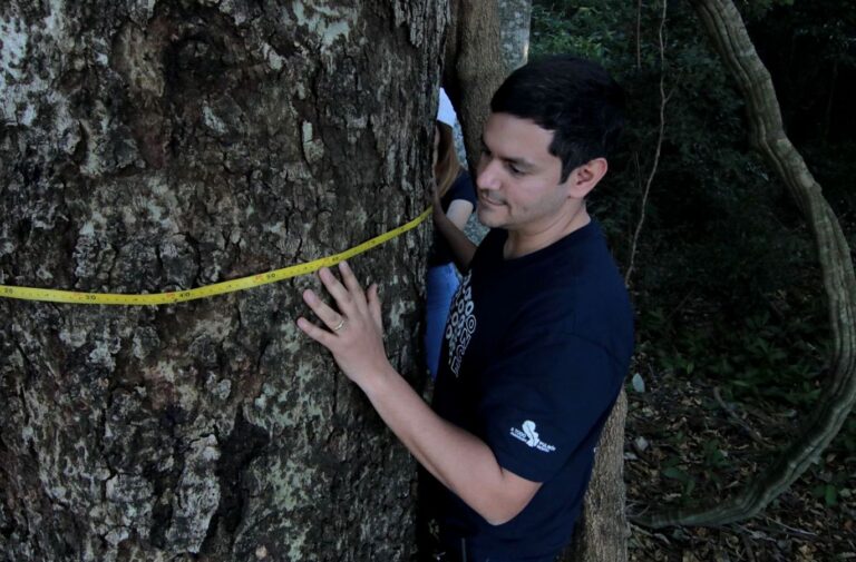 Colosos de la Tierra | Argentina Forestal y Misiones Online presentes en la Expedición 2022 que recorrerá el país en busca de los árboles gigantes de Paraguay
