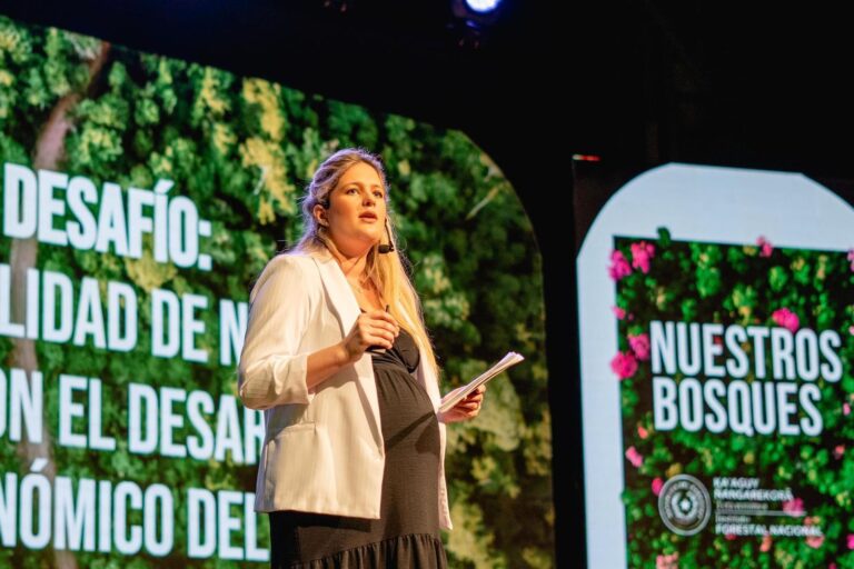 Paraguay | El país registra casi 16 millones de hectáreas de cobertura forestal