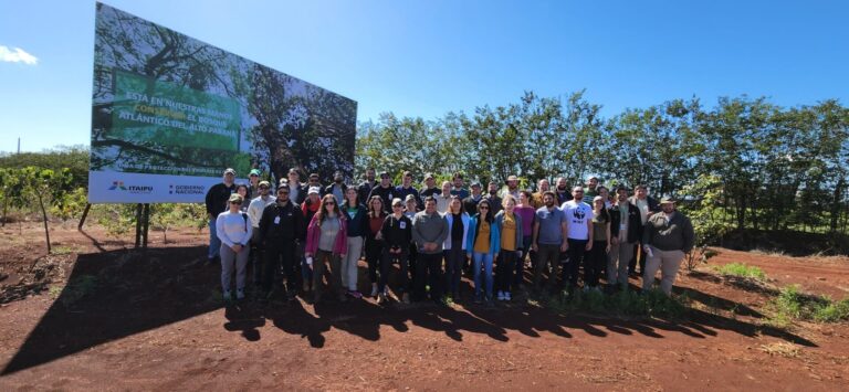 La Red Trinacional de Restauración del Bosque Atlántico busca reconectar a las personas en el esfuerzo por la conservación de la ecorregión