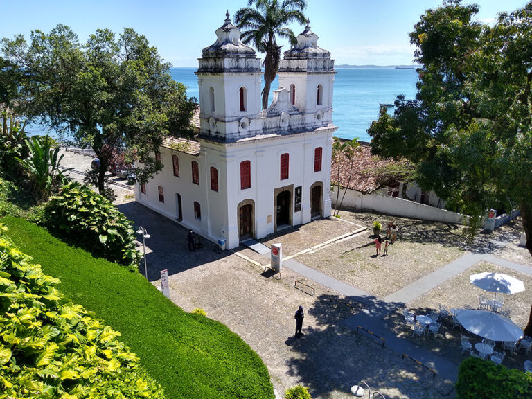 Brasil | ABAF realizó actividades de educación ambiental y donaron 100 plantines para que niños reforesten en el predio del Museo de Arte Moderno de Bahía