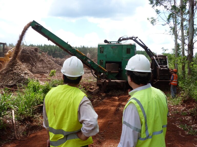 La nueva era industrial verde puede ser la vía de avance para lograr los objetivos de desarrollo sostenible, señala la ONU