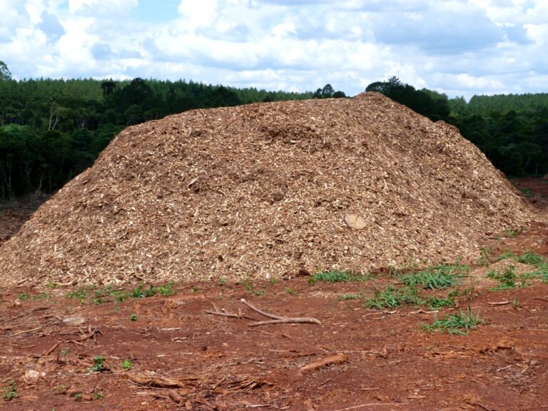 Biomasa forestal, la mayor preocupación de los productores misioneros por la pérdida económica del recurso sin destino de aprovechamiento industrial