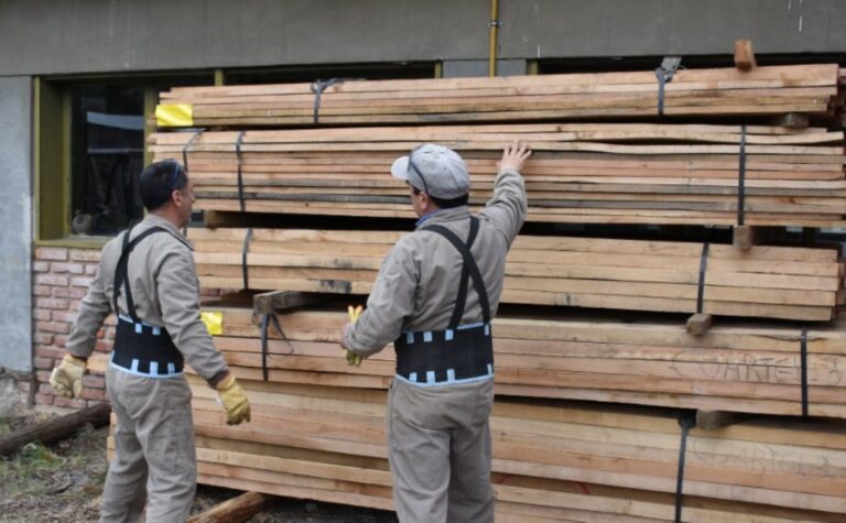 Madera de Lenga | Estudian la especie nativa patagónica para ser inscripta al reglamento argentino CIRSOC 601 y fomentar su uso en la construcción