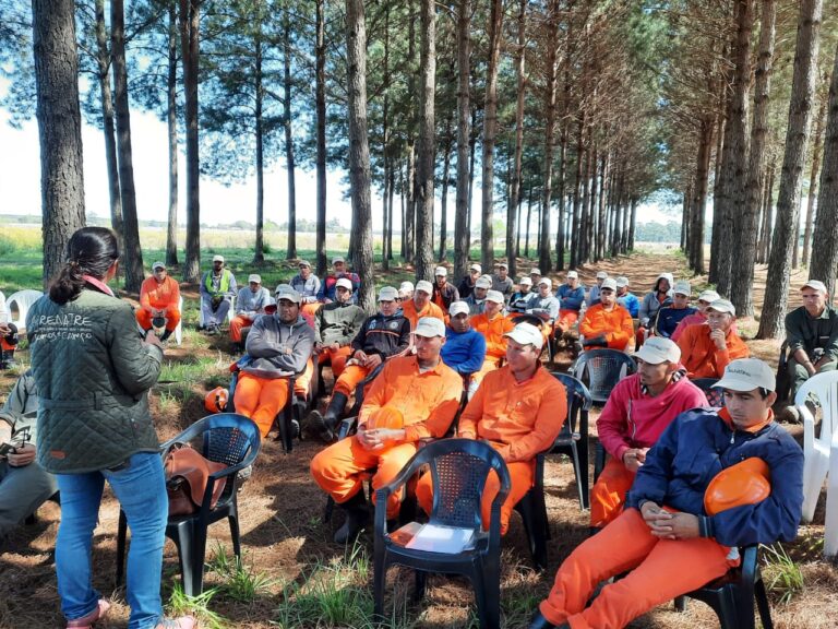 Prevención y combate de incendios | RENATRE finalizó una capacitación para 342 trabajadores del sector forestal en Corrientes