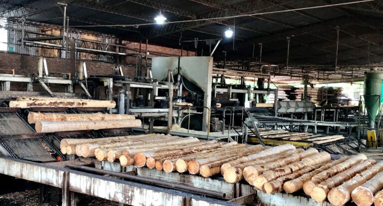 Sin acuerdo en la paritaria maderera: Desde AMAYADAP advierten que “no están en condiciones de afrontar nuevos aumentos salariales”