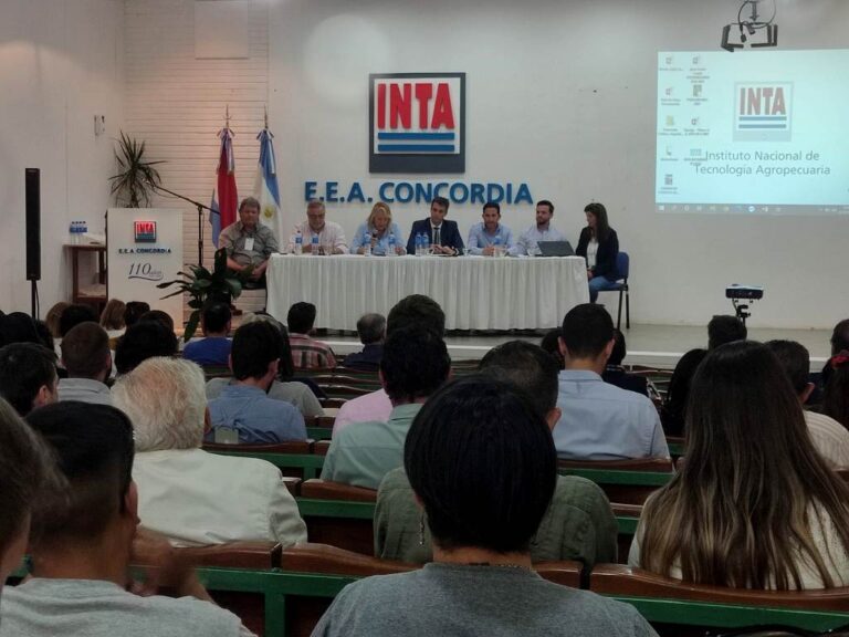 INTA Concordia | Un reencuentro técnico y sectorial se vivió en las Jornadas Forestales de Entre Ríos