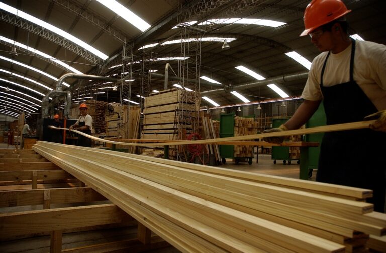 FAIMA: El mercado interno cayó 40% en la demanda y la exportación de madera solo logra amortiguar el impacto en industrias hipercompetitivas