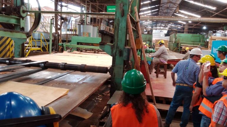 La Unión Industrial Argentina advierte baja en la producción por la demora de importaciones de insumos