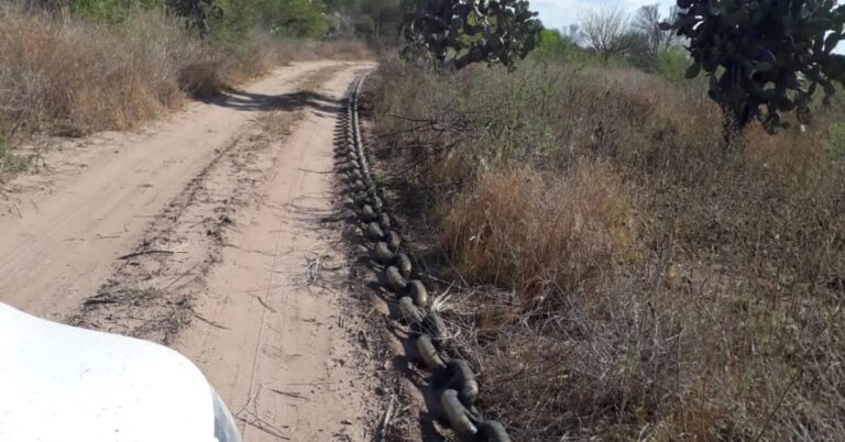 Chaco | Investigadores denunciaron graves irregularidades en el proceso del Ordenamiento Territorial de Bosques Nativos