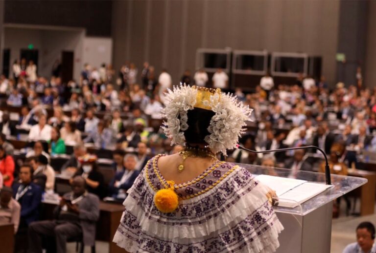 CITES en Panamá | En la COP19 definirán las políticas que buscan proteger la biodiversidad a escala planetaria