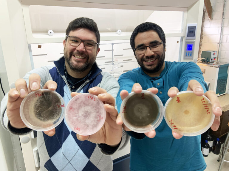 Chile | Jóvenes investigadores viajarán a la Antártica para encontrar hongos que podrían controlar el Alzheimer