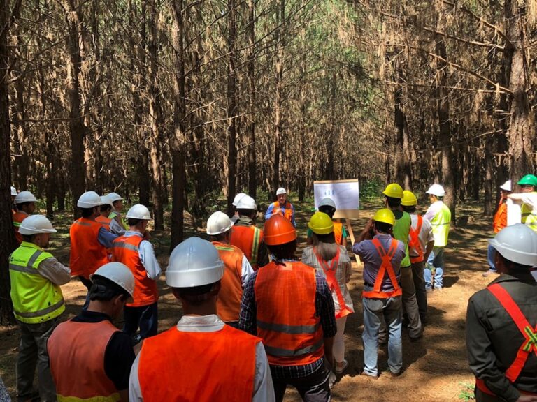 Tranqueras abiertas | Productores del NE de Corrientes intercambiaron experiencias silviculturales con Bosques del Plata