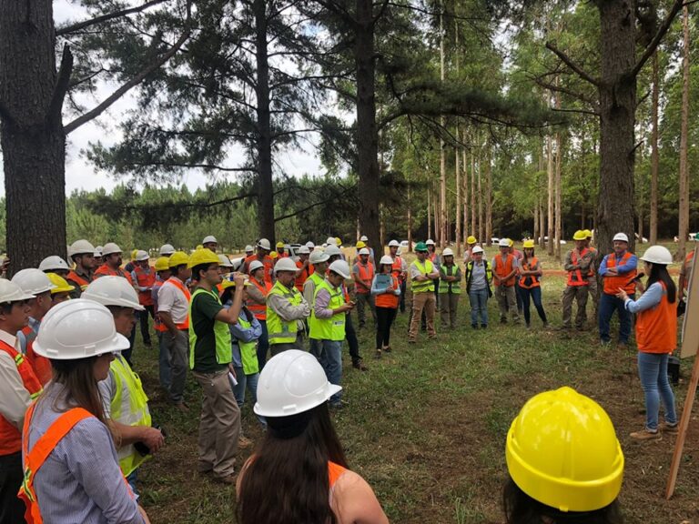 Misiones | AFoA organiza un seminario con foco en inversiones, mercados de carbono y competitividad foresto-industrial