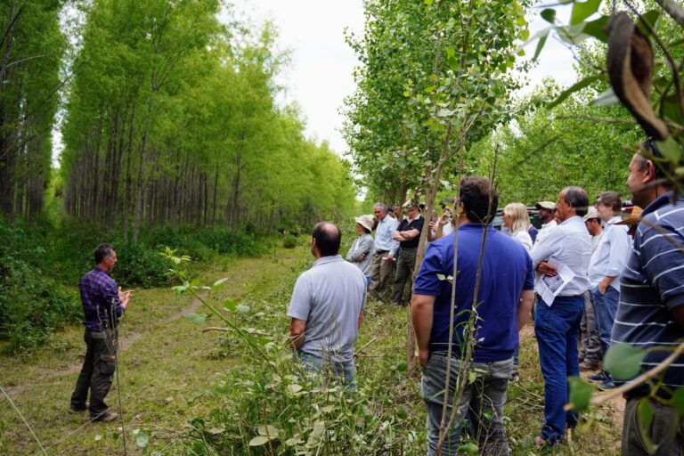 Delta del Paraná | Compartieron en jornadas técnicas el desarrollo genético del Sauce para todo el país