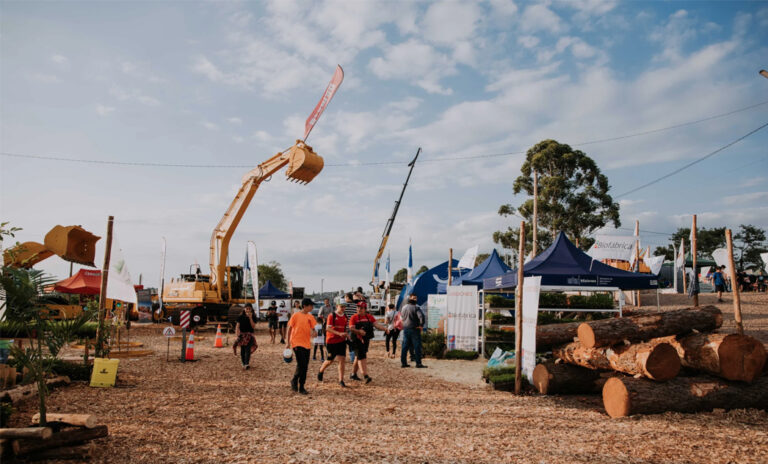 Misiones | La Fiesta Nacional de la Madera expone el desarrollo local de la industria forestal, comercio, gastronomía y turismo de San Vicente