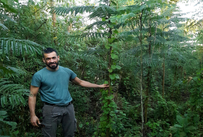 Bosques Nativos en Misiones | «La convivencia entre producción y conservación es posible, pero aún es necesario mejorar criterios y políticas públicas de manejo forestal»