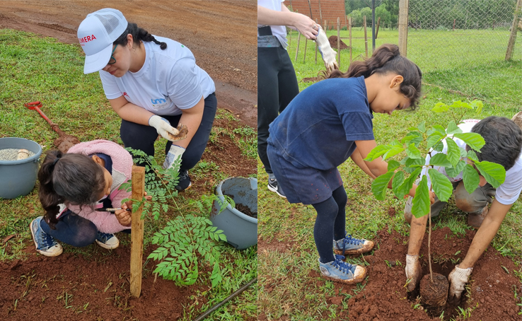 Educación ambiental | Más de 300 niños y niñas de la Esc. N°887 de Posadas son protagonistas de la plantación de árboles nativos en su barrio