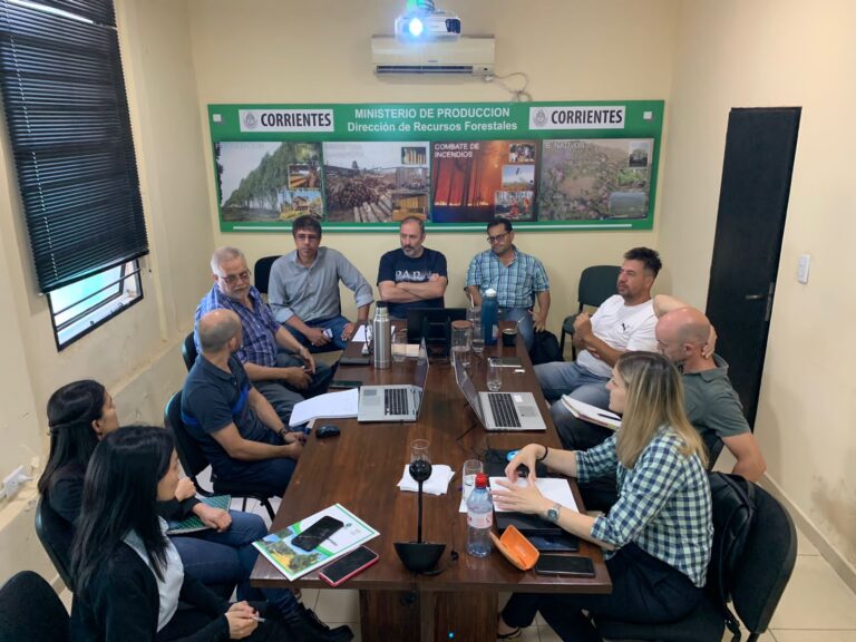 Sabina Vetter en Corrientes | Habría en trámites de pagos de planes forestales aprobados por más de 93 millones de pesos para la provincia