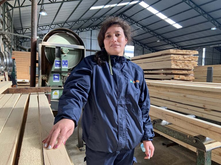 Chile | El sector forestal y maderero quiere elevar al 20% la participación de mujeres en áreas productivas