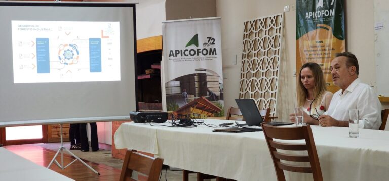 Misiones | Iniciaron el proceso de actualización del Inventario de Plantaciones Forestales 2023