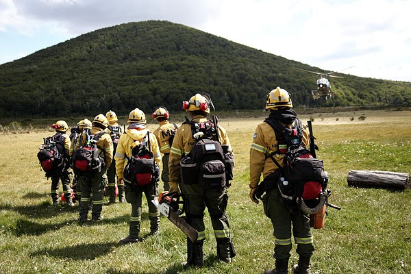 Milei disuelve el Fondo Nacional de Manejo del Fuego y otros tres fideicomisos : qué pasará con los brigadistas frente al recorte
