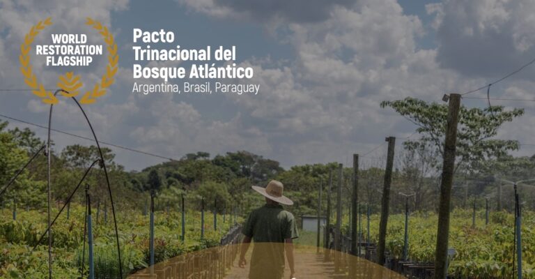 COP15 | El Bosque Atlántico Trinacional fue reconocido como «Iniciativa Emblemática» de restauración mundial
